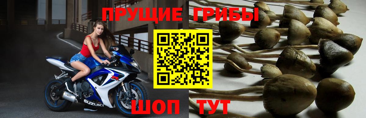 Псилоцибиновые грибы MAGIC MUSHROOMS  Вход с VPN  Грязи 